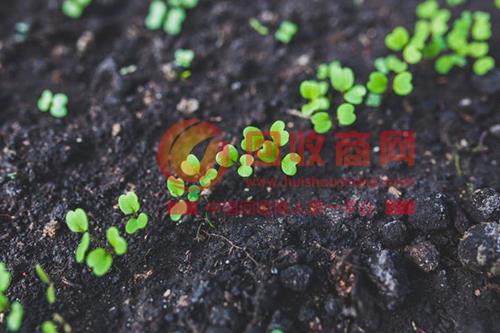 两项国家环境质量标准:土壤污染防治新标准发