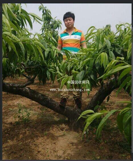 河南驻马店市废塑料市场_河南驻马店市二手市