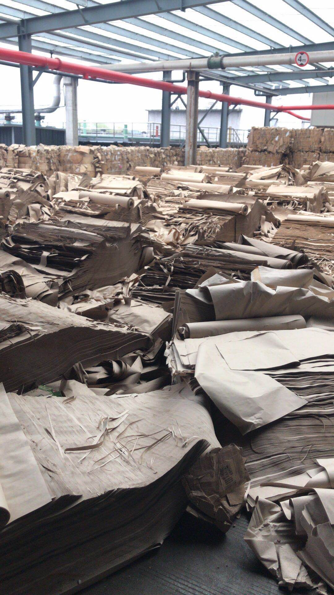 稳定货源~美废12号生产纸浆,浆板,干浆